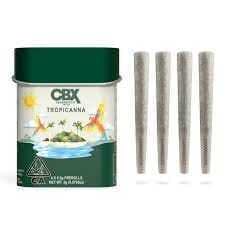 CBX - Tropicanna Preroll Tin 2g. - Preroll Pack