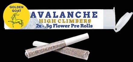 Avalanche - Golden Goat 2pk