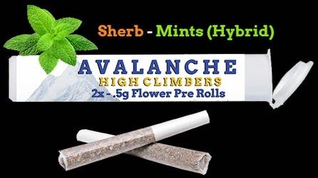 Avalanche - Sherbet Mints 2pk