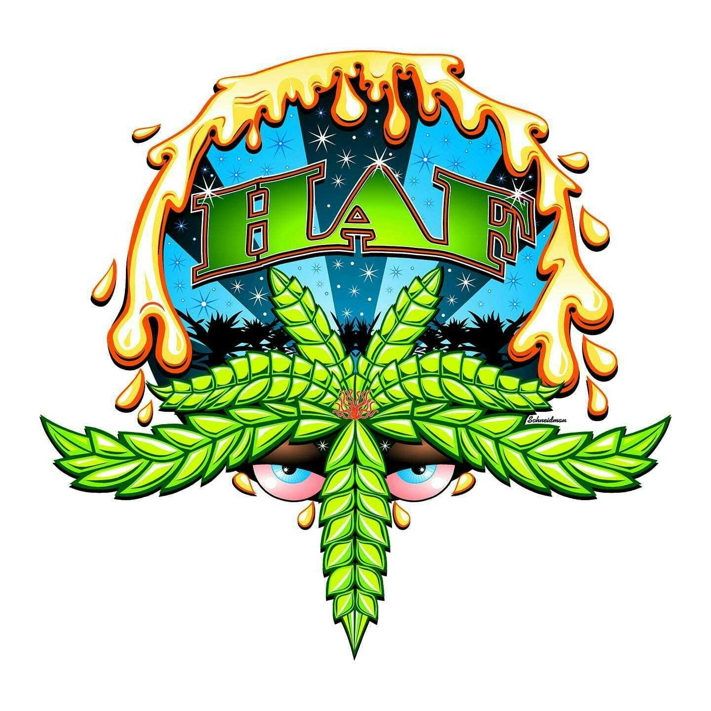 Hash and Flowers - HAF - Blue Nerds (H) - 1g FF Live Rosin - Gram