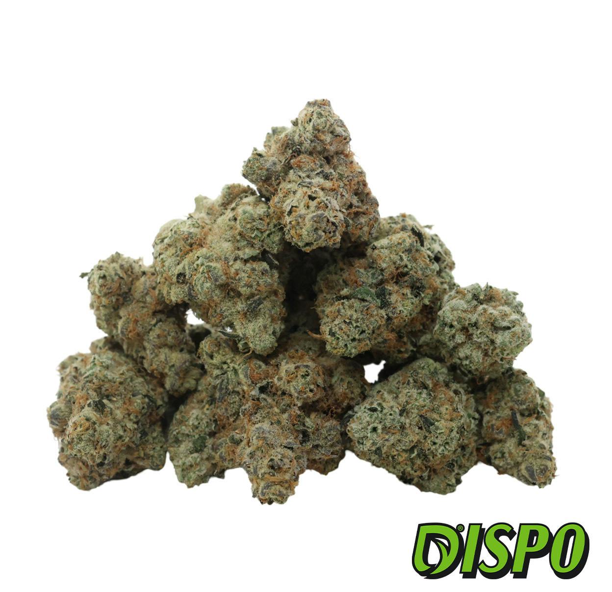 GoldKine - Glitter Bomb - Buds