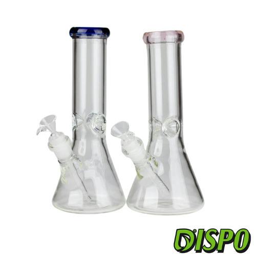 10" TBCO Glass Beaker
