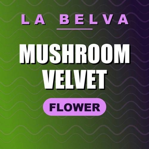 La Belva - Mushroom Velvet - Buds