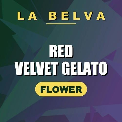 La Belva - Red Velvet Gelato - Buds