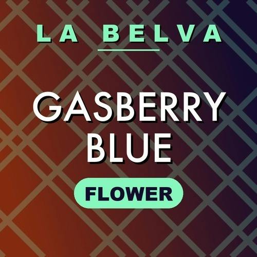 La Belva - Gasberry Blue - Buds