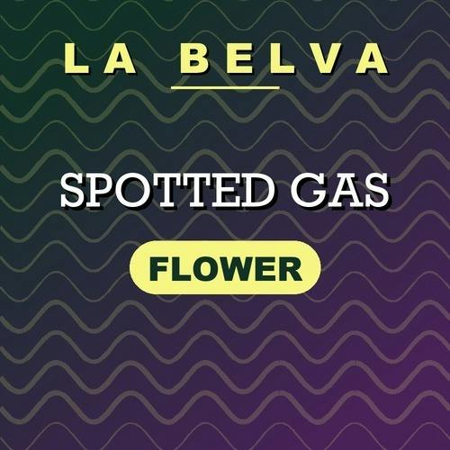 La Belva - Spotted Gas - Buds