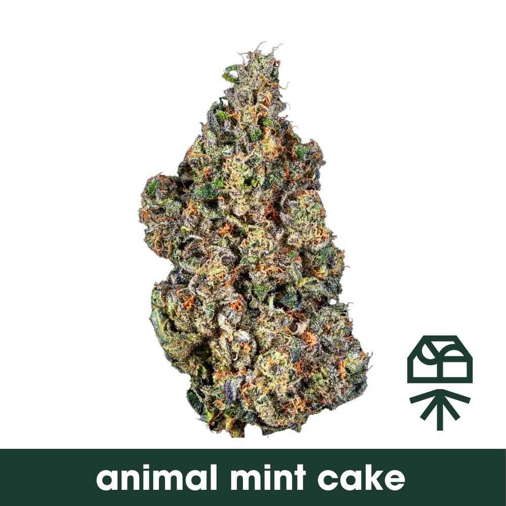 Grassroots Animal Mint Cake Whole Flower 3.5g