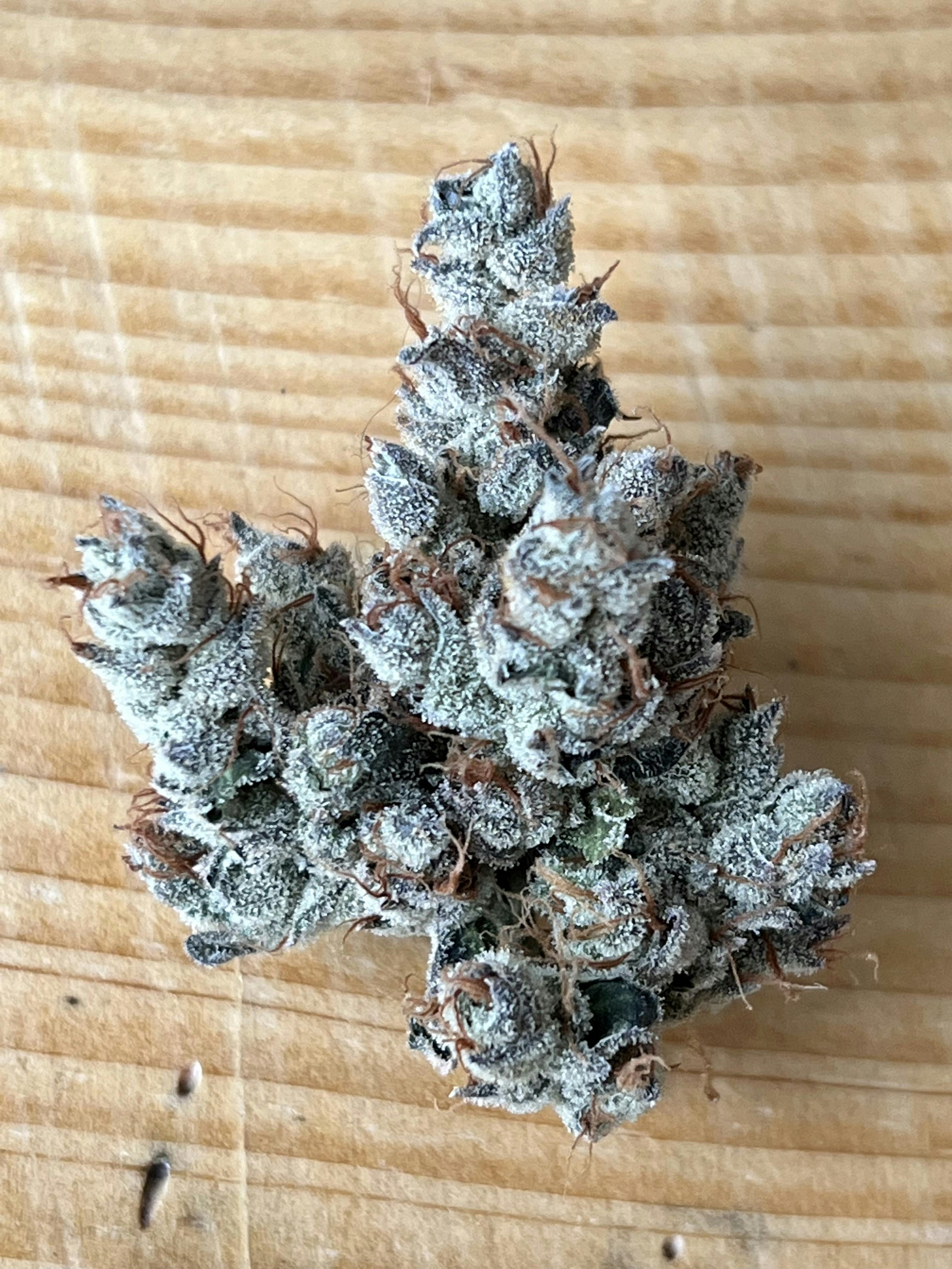 Lemon Cherry Diesel - 1/2g PreRoll