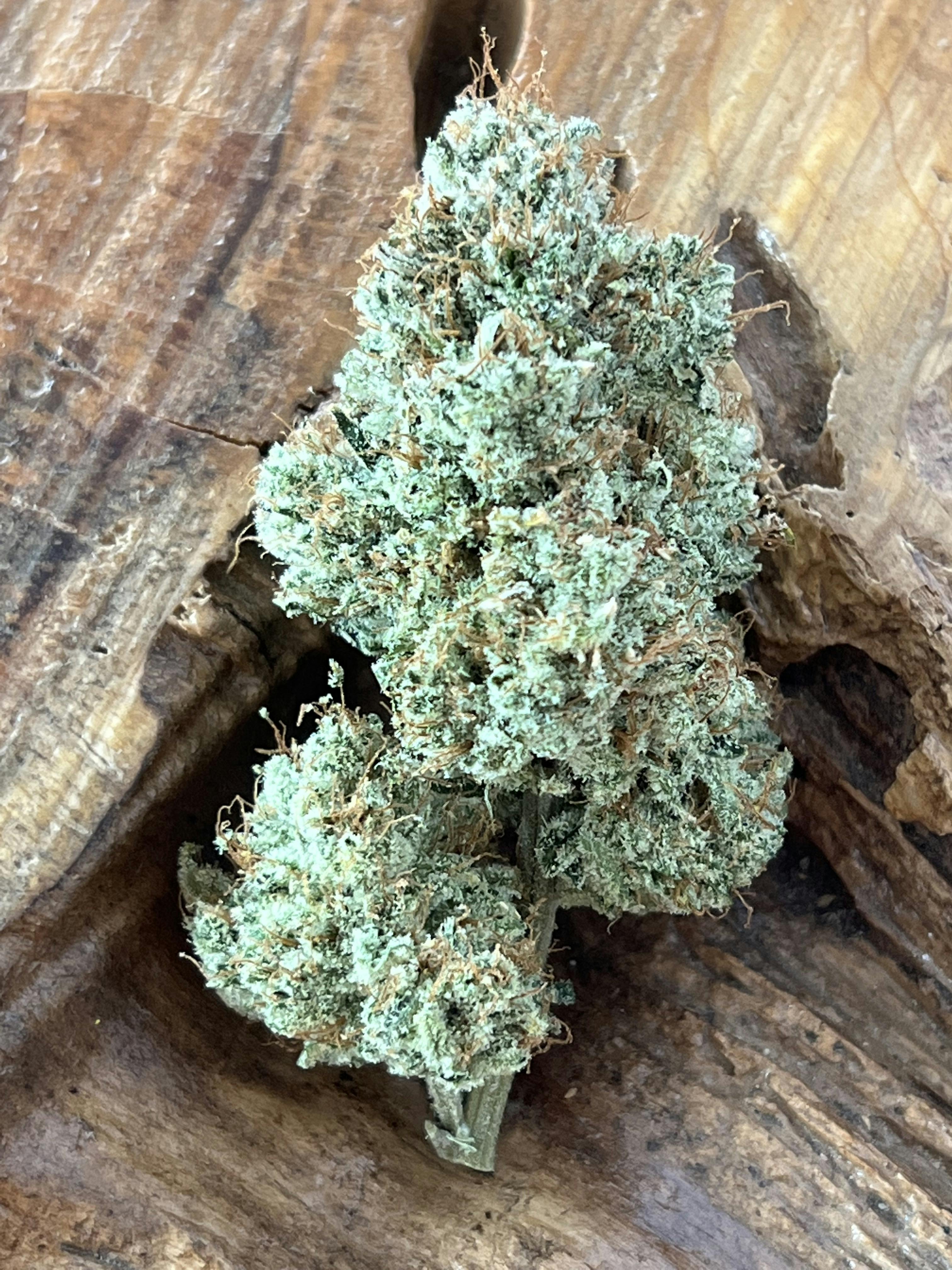 Turbo Diesel - MED - 7g - Packed