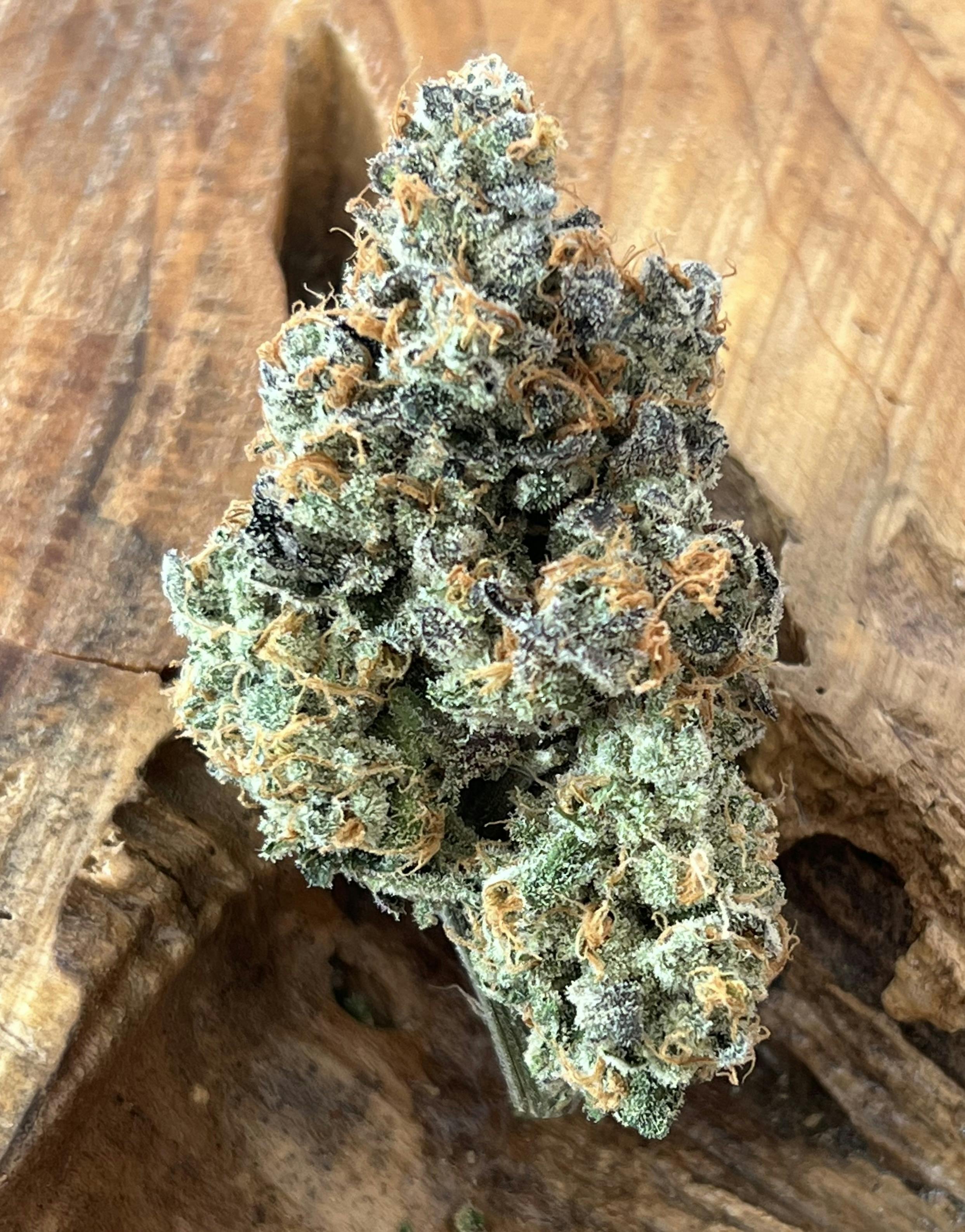 Hippy Tearz - 1/2g PreRoll