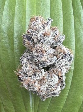 Triangle Kush - 3.5