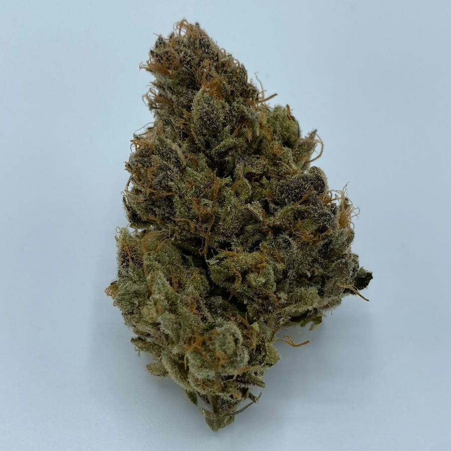 Creme Rose - 3.5g at Cryptids (Medical)
