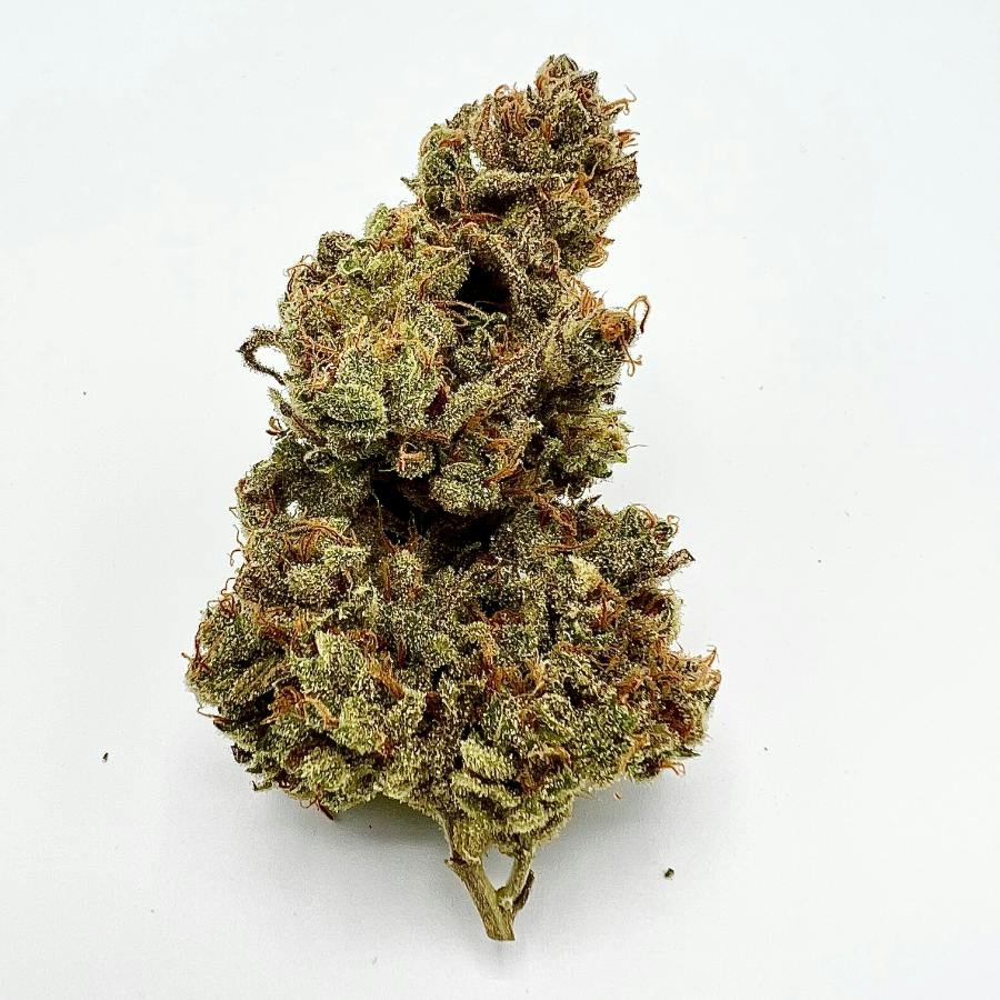 Cindy 99 - MED - 7.0g - Packed