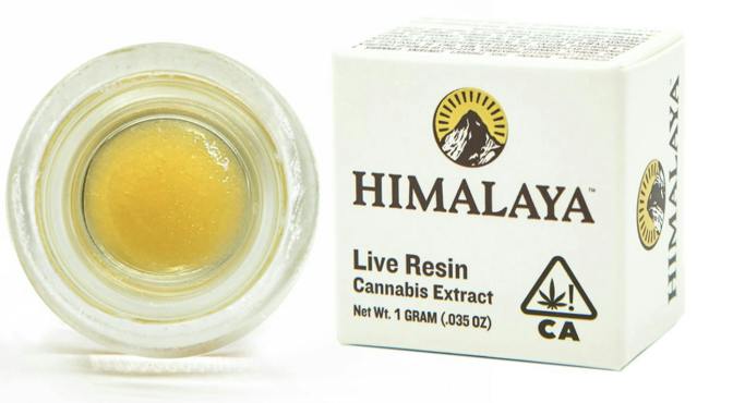 NECTARINE JELLY LR 1G