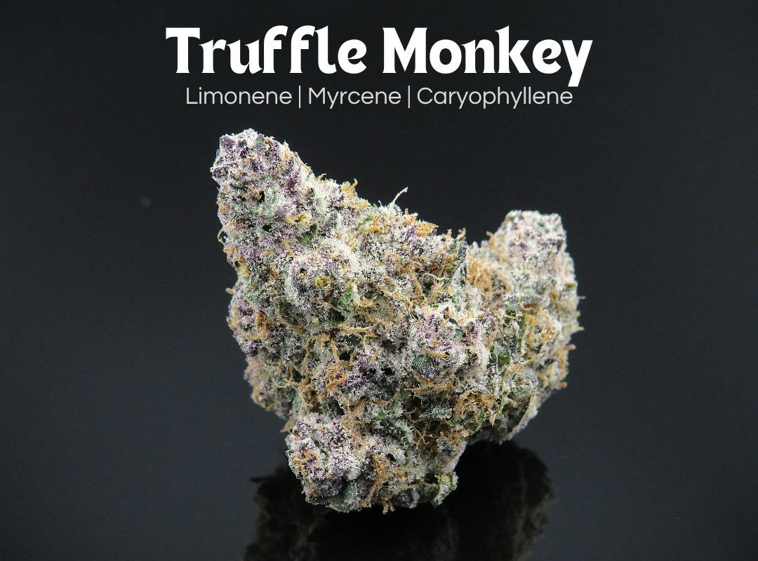 Truffle Monkey 14.15g (Sativa) l Farkas Farms