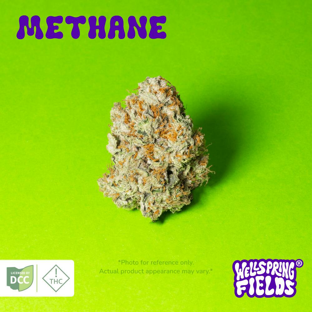 Methane 2.83g (Hybrid) | Wellspring Fields