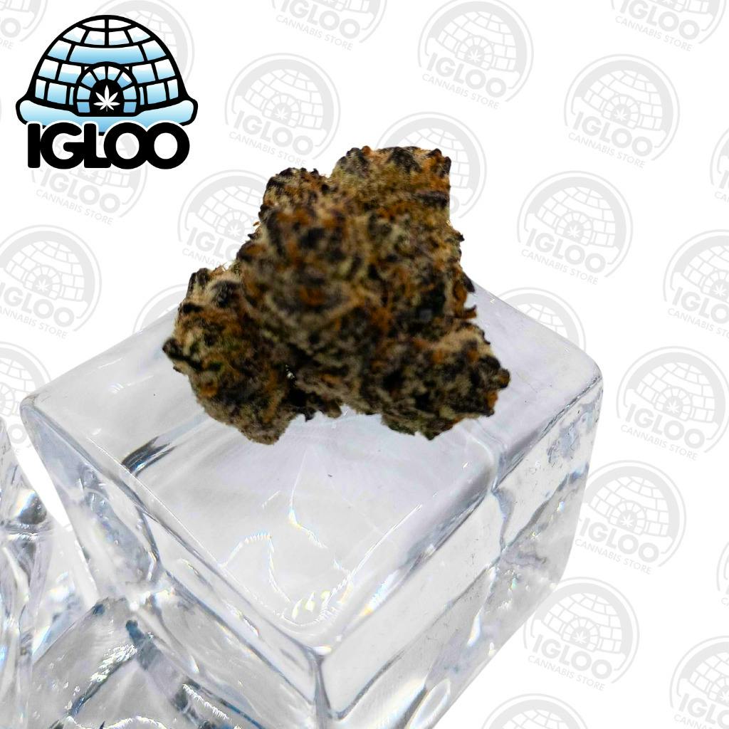 Tagalongz | Bulk Flower by Glacier Cannabis