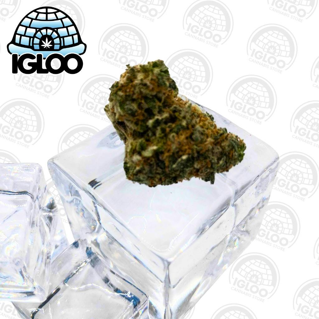 Lemon Alien Dawg | Bulk Flower by Glacier Cannabis