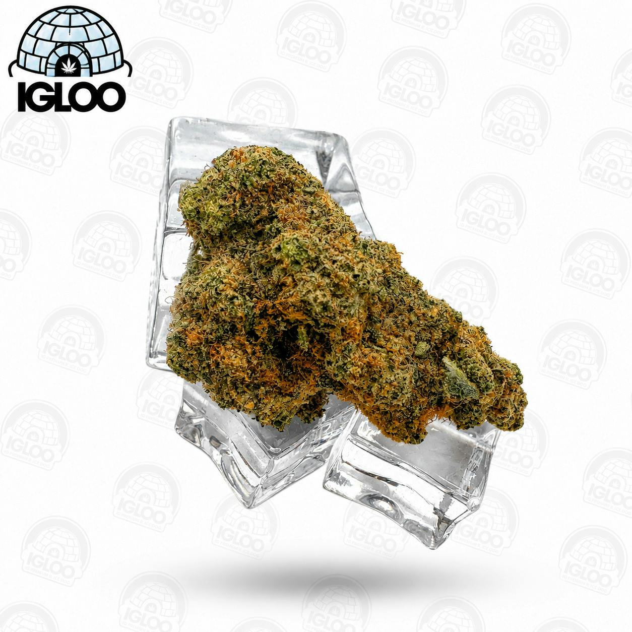 Zest Mints | Bulk Flower by Glacier Cannabis