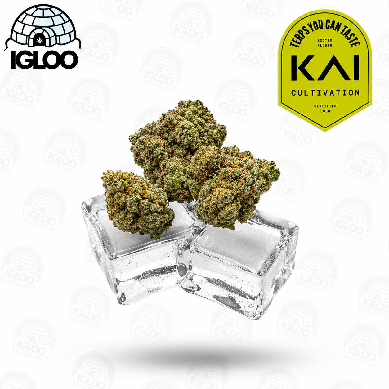 KAI | Deli Flower | ChemDozer (GREEN) at Igloo Cannabis Store