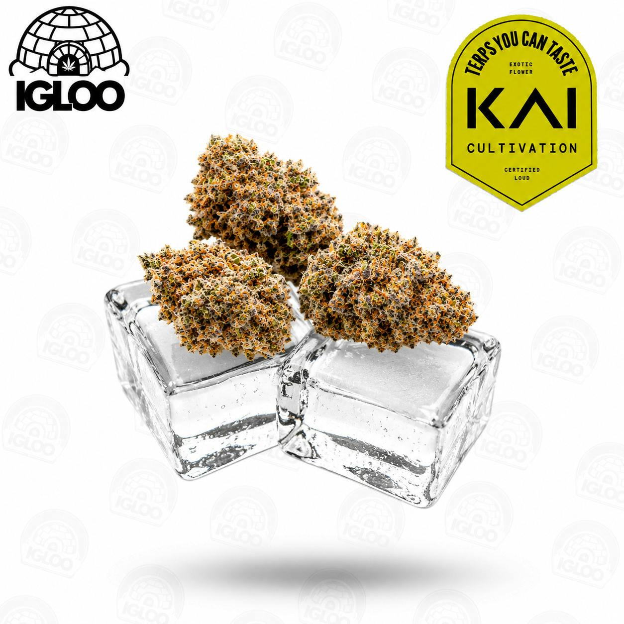 KAI | Deli Flower | Banana Puddintain (GREEN)