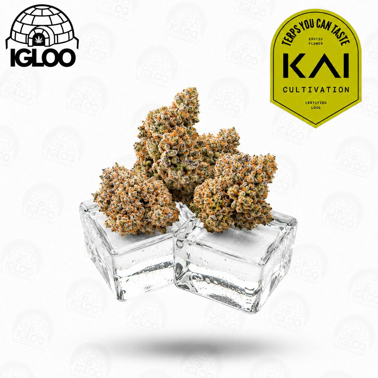 KAI | Deli Flower | Peach Slushie (GREEN) at Igloo Cannabis Store