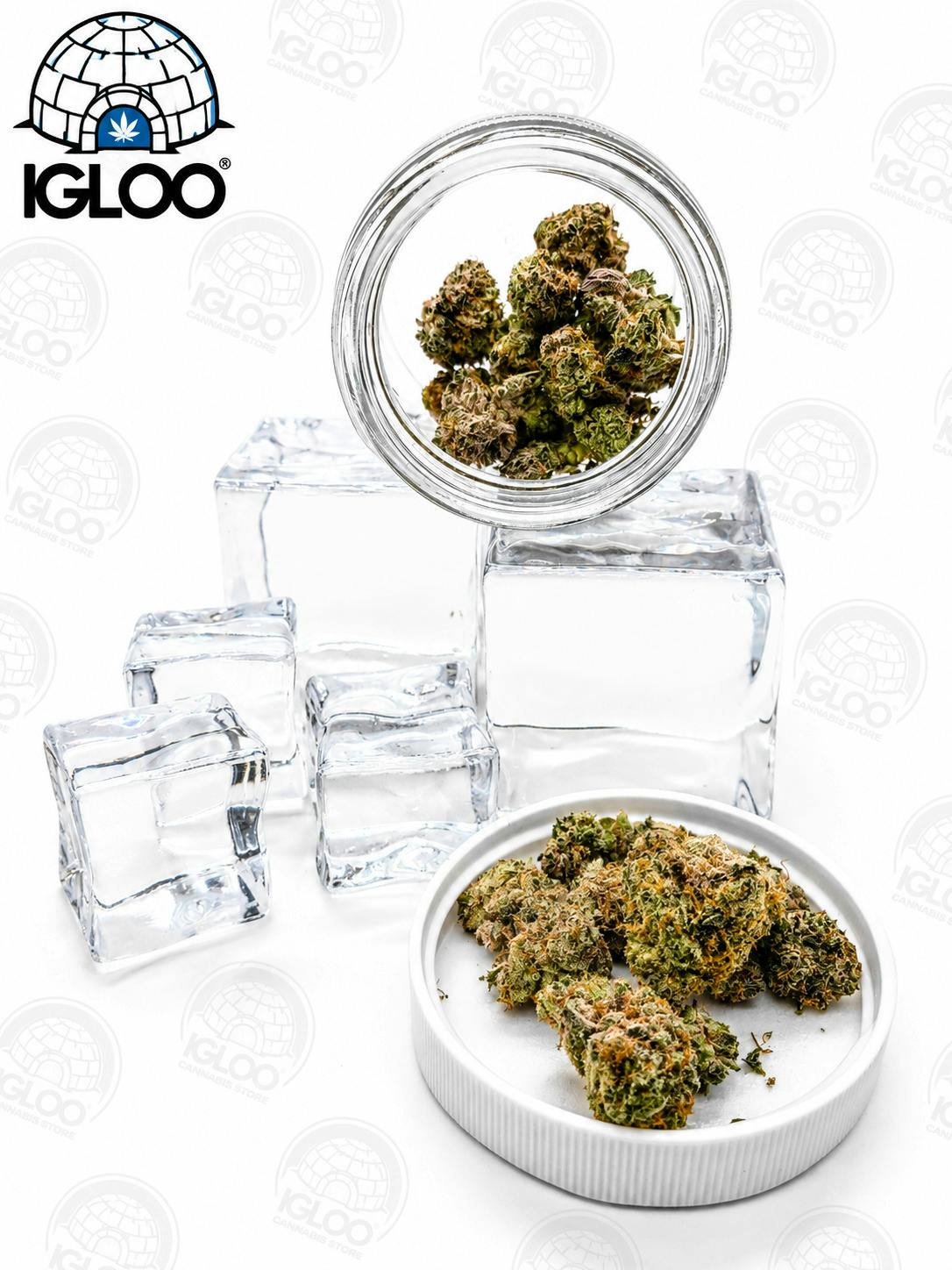 Glacier | Deli Flower | Blast Chiller (GREEN) at Igloo Cannabis Store