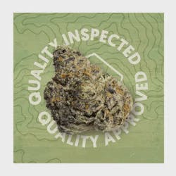 QR Brands - Red Pop 3.5g