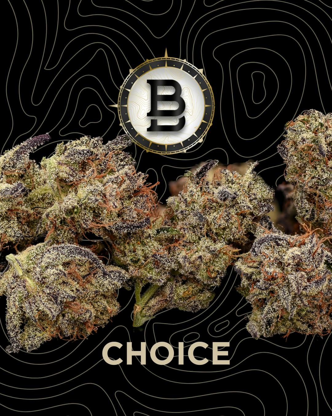 Bb Choice Sudz
