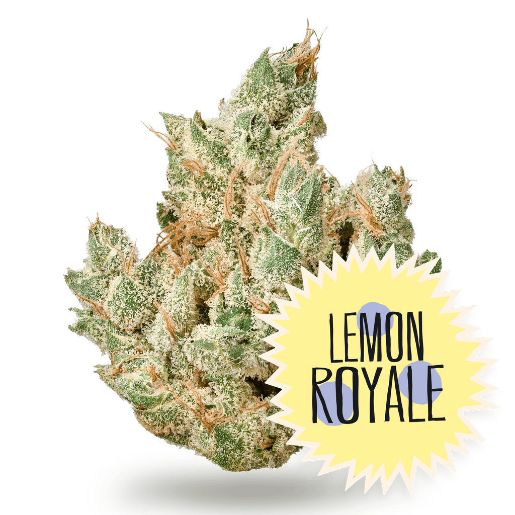 District Cannabis Lemon Royale Whole Flower 3.5g