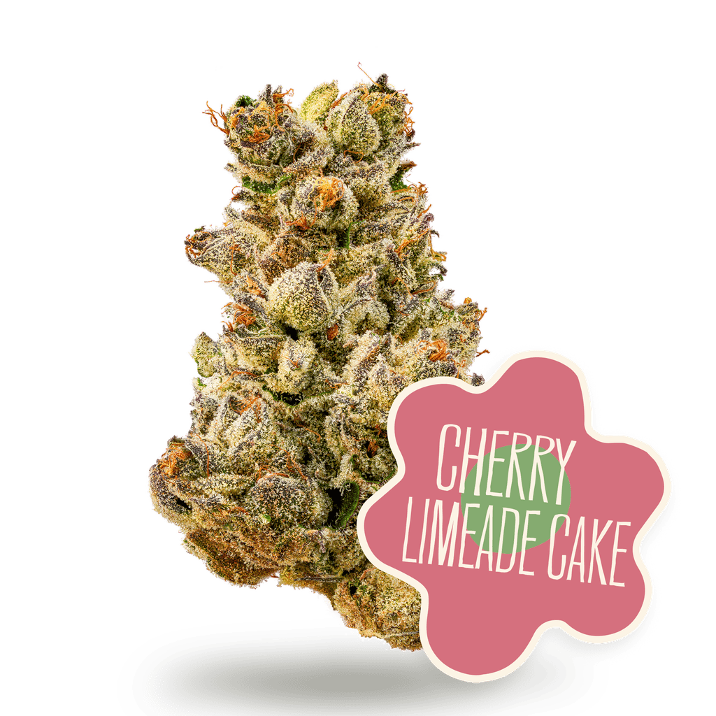 District Cannabis Cherry Limeade Cake Whole Flower 3.5g