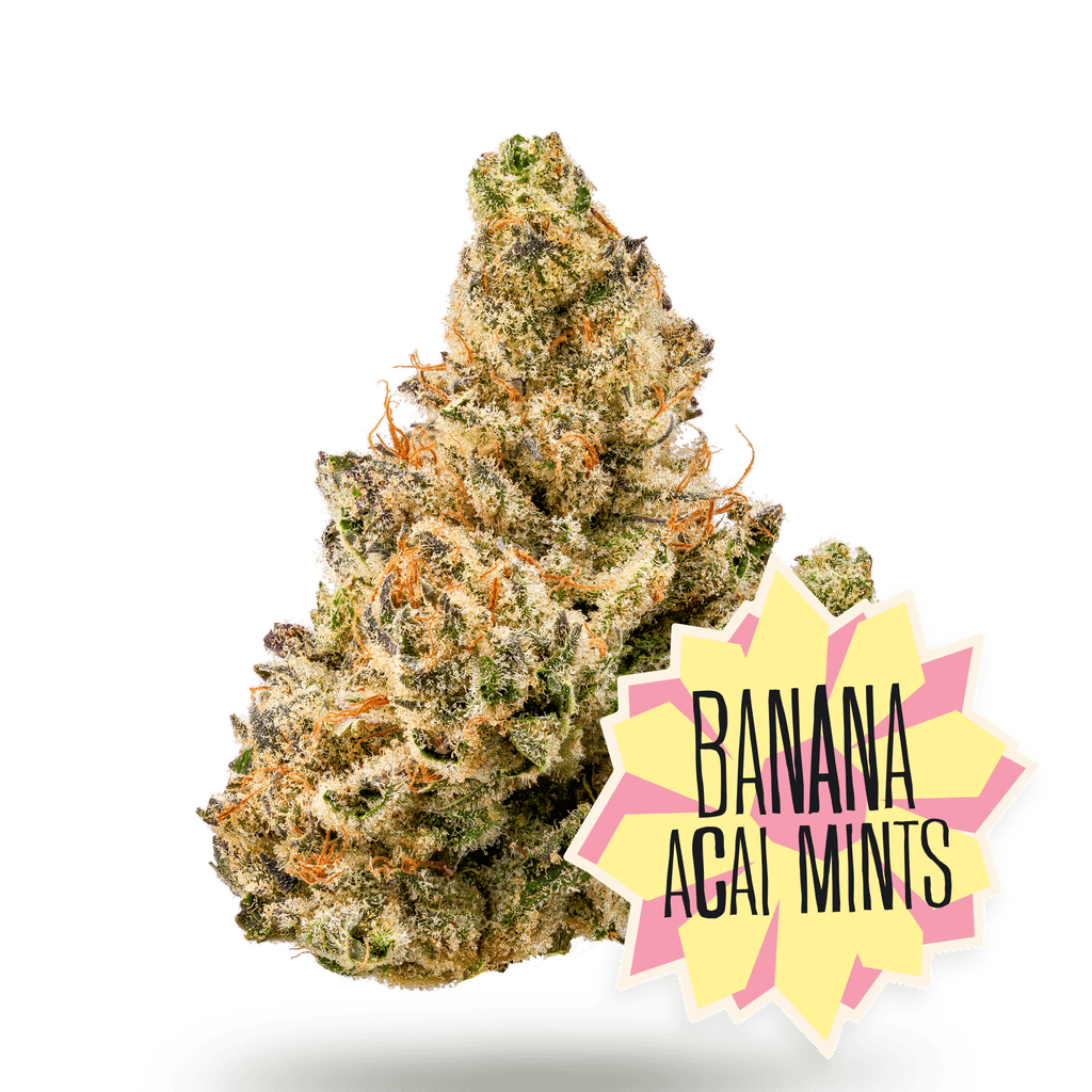 District Cannabis Banana Acai Mints Whole Flower 3.5g