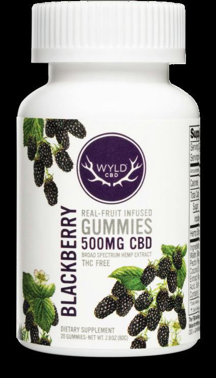 Wyld CBD Blackberry Gummies 500mg CBD