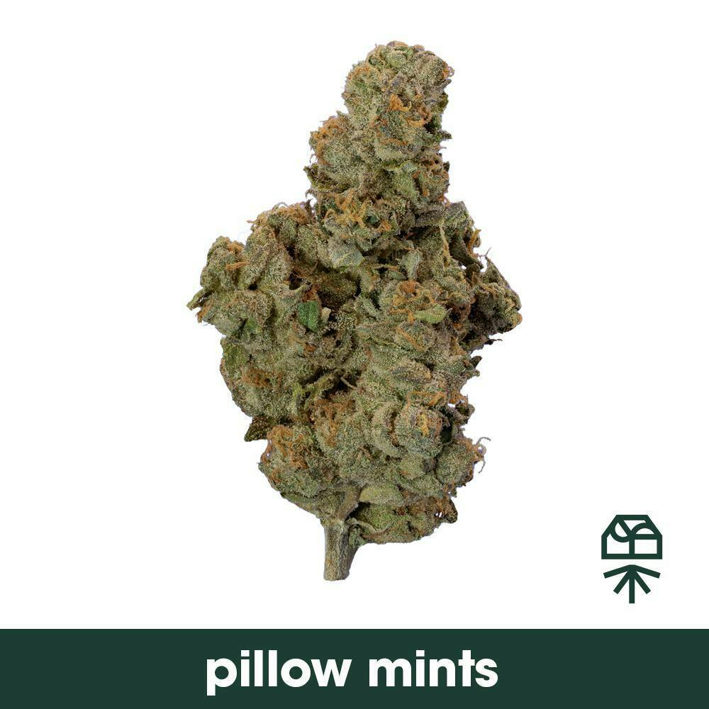 Grassroots Pillow Mints Whole Flower 3.5g