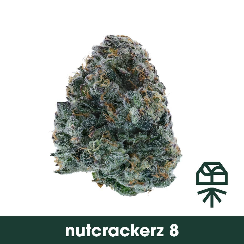 Nutcrackerz 8 Whole