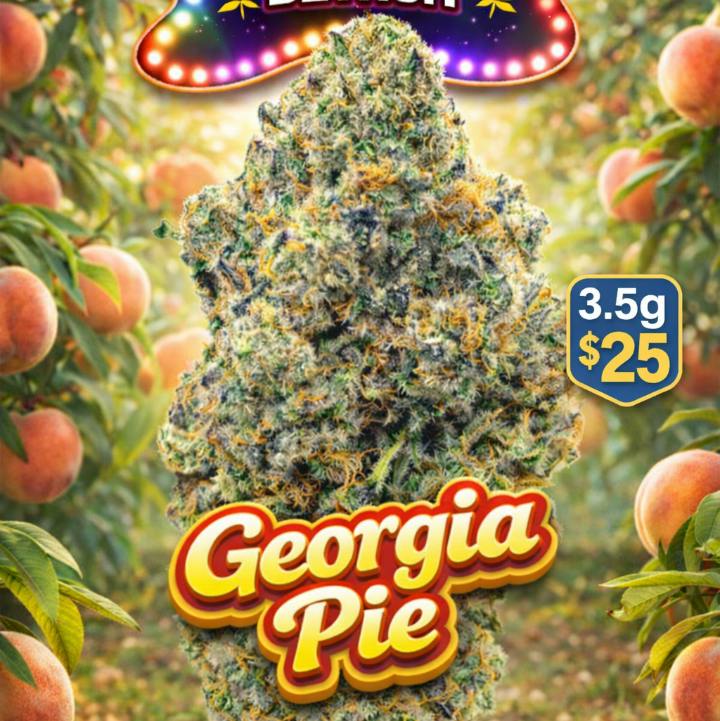 ($10G) Georgia Pie (H)