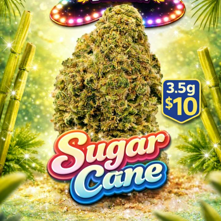 ($3G) Sugar Cane (H)