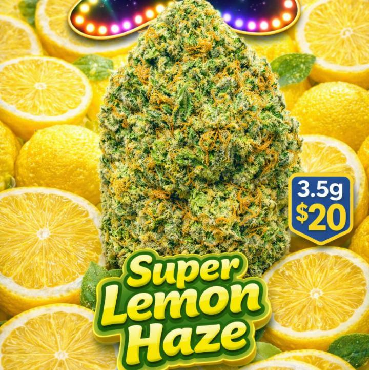 G Super Lemon Haze