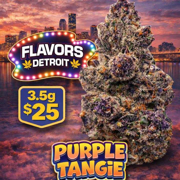 ($10G) Purple Tangie (S)