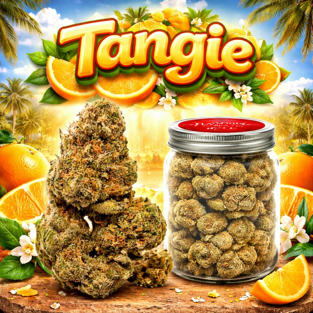 ($50oz) Flavors 28G Prepack - Tangie (S)