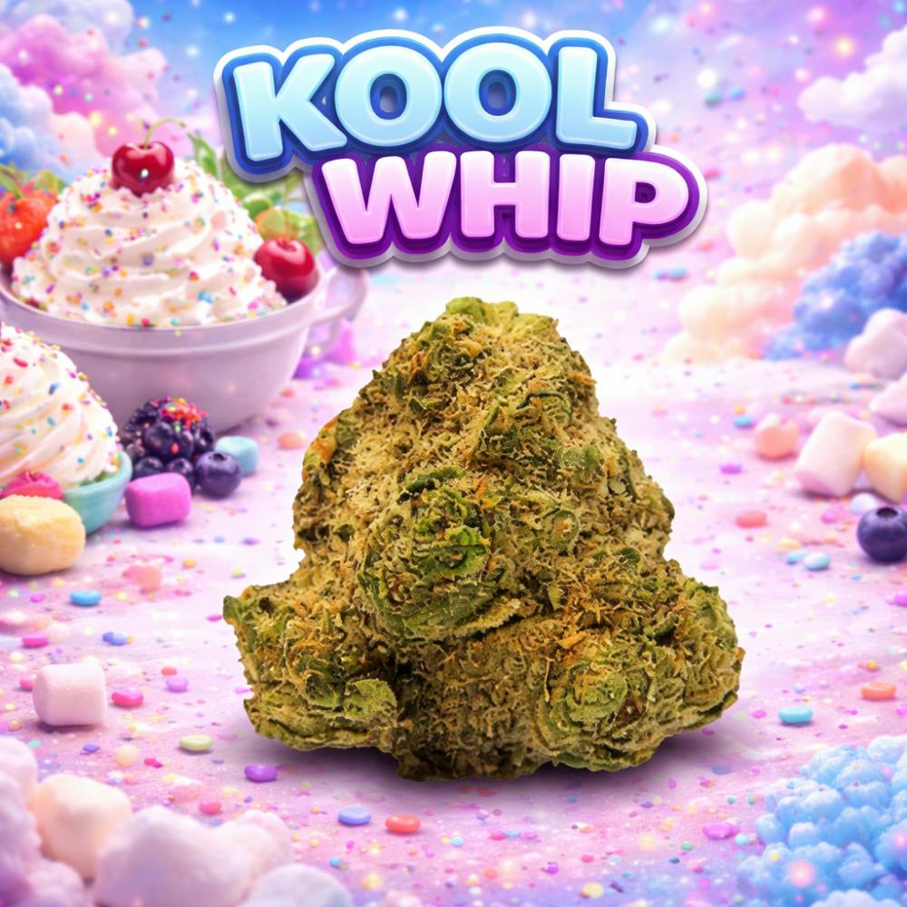 ($3G) KOOL WHIP (H/I)