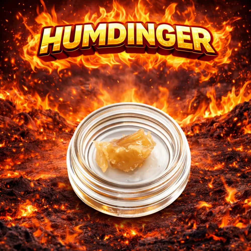 Flavors 5G Cured Sugar Stash JAR - Humdinger (I)