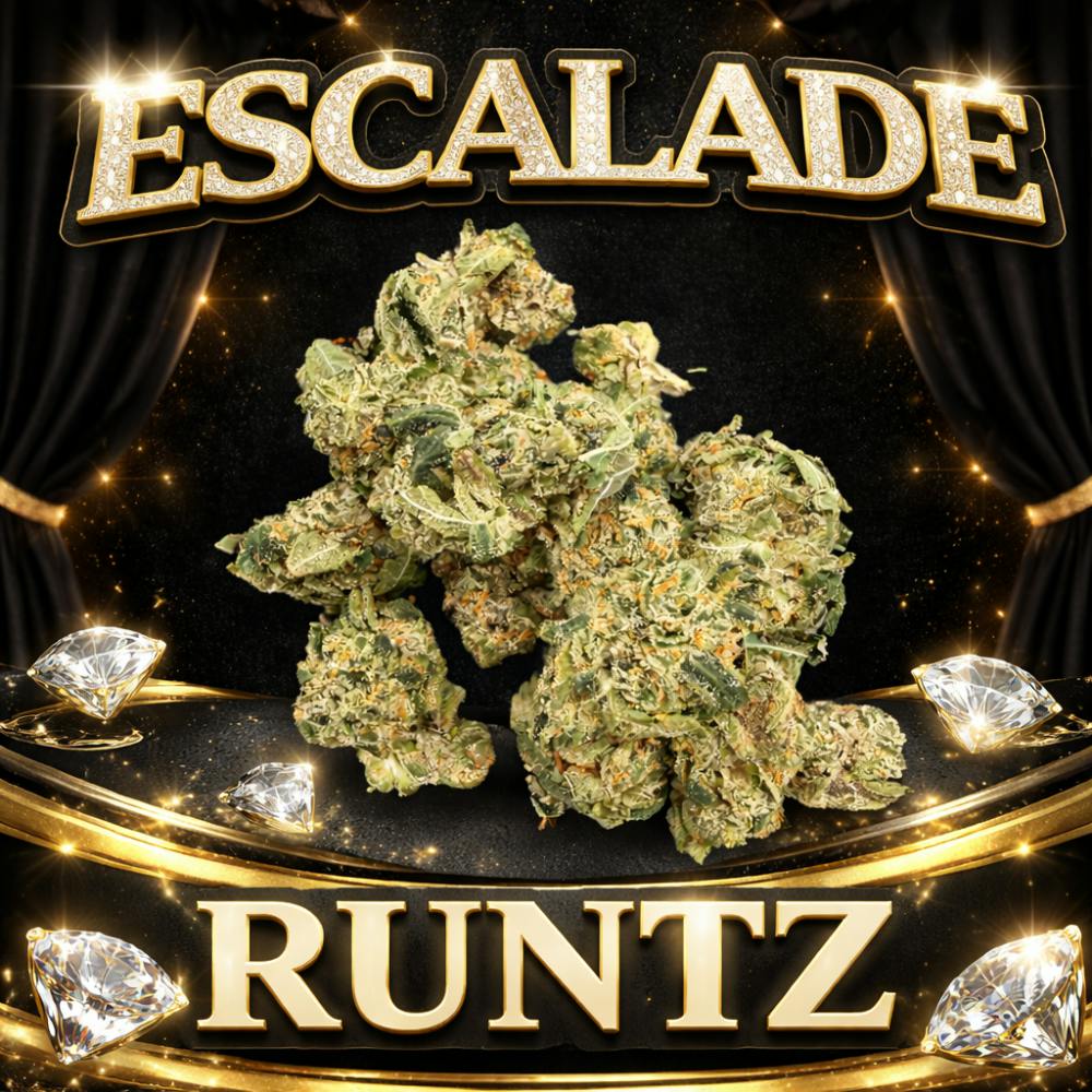 ($10) Flavors 3.5G Prepack - Escalade Runtz (H)