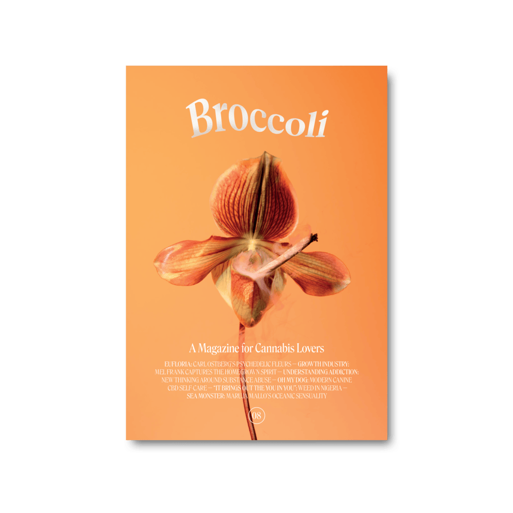 Broccoli Magazine Issue 8