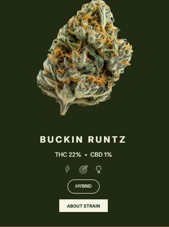 Buckin Runtz Whole Gg
