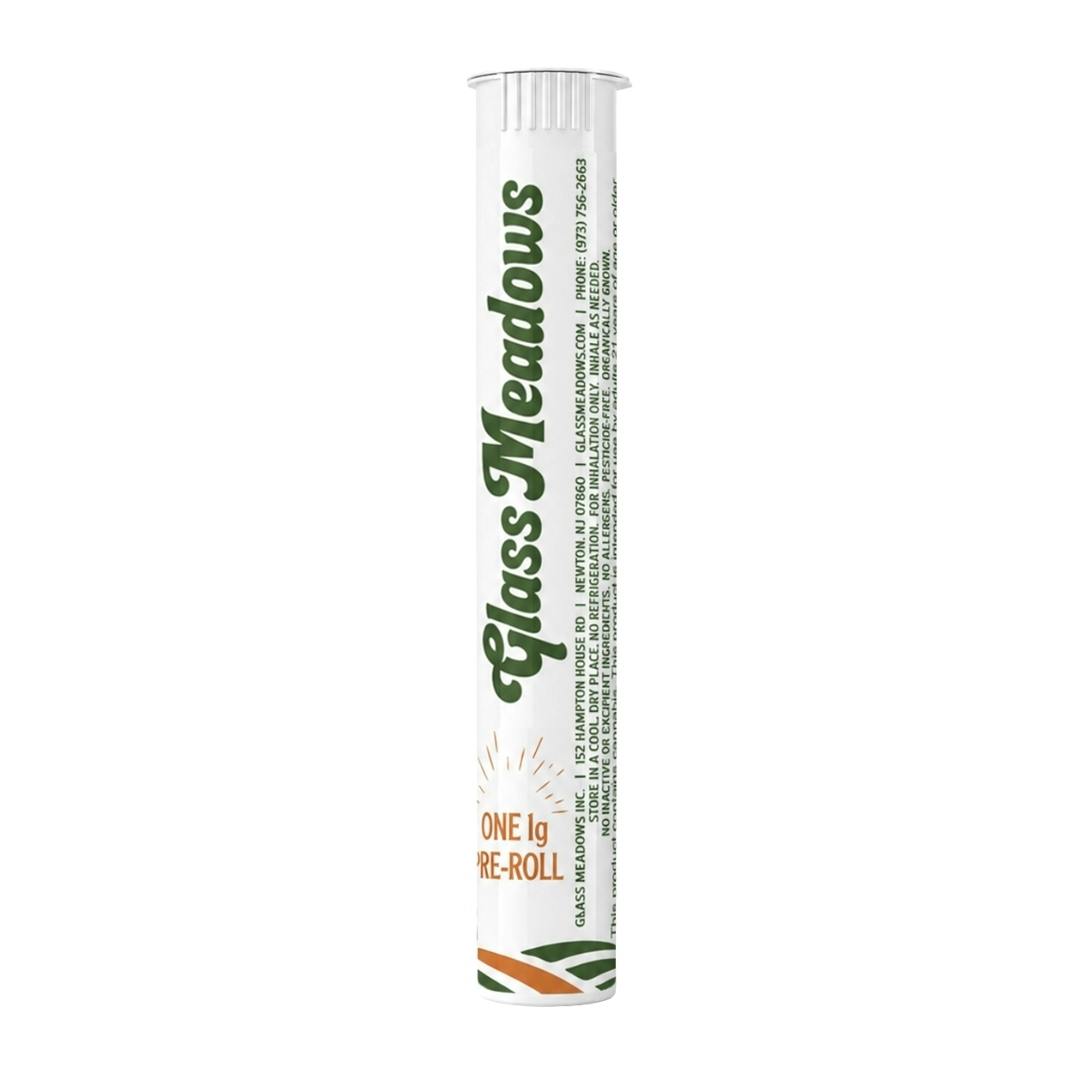Spritzer [1g]