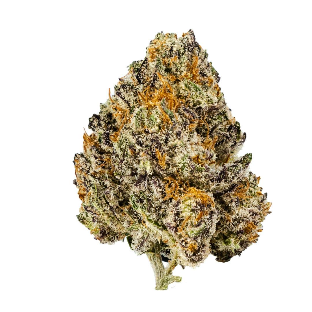 Mid Tier - Granddaddy Grape at The Roots, Raspberry