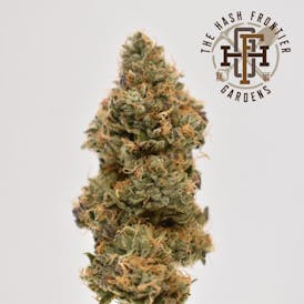 Fuzz Pedal #9 Flower (I) (30% 5.6% TERPS!) - The Hash Frontier