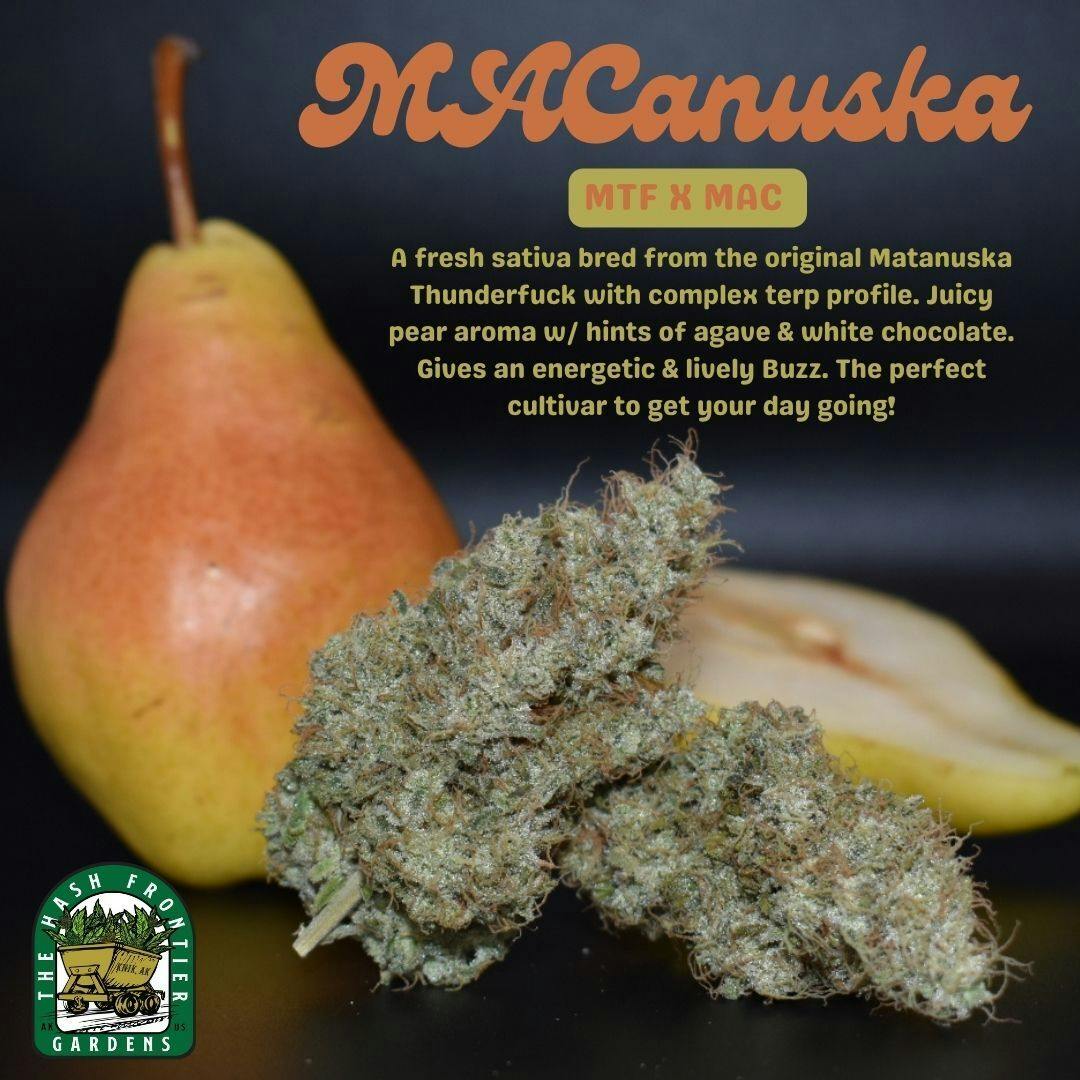Macanuska #10 Sh Deli Style Mac x The Original Mtf Hash Frontier
