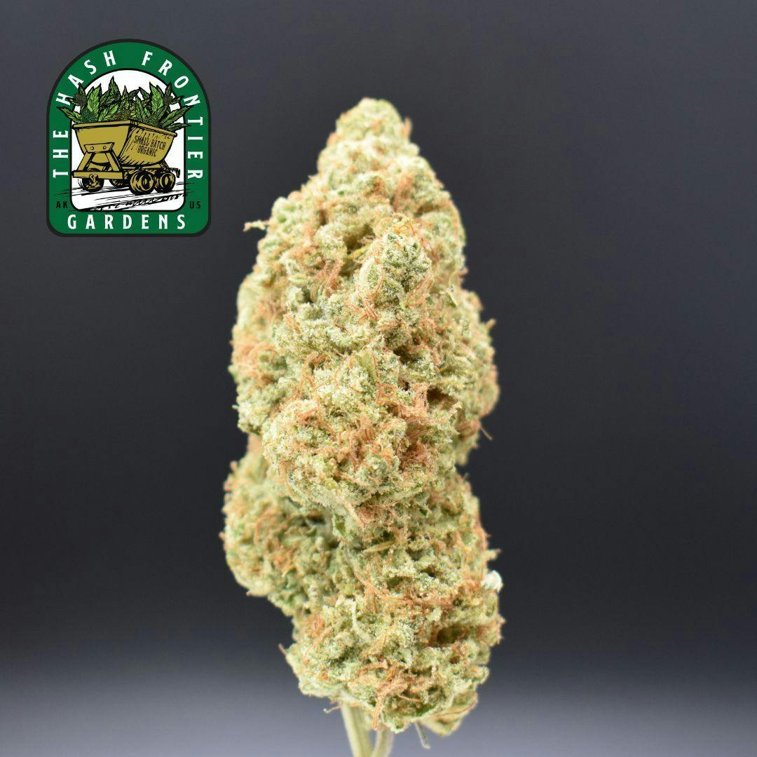 Strawberry Fields #4 (S) Flower (Strawnana x Tangie) - The Hash Frontier